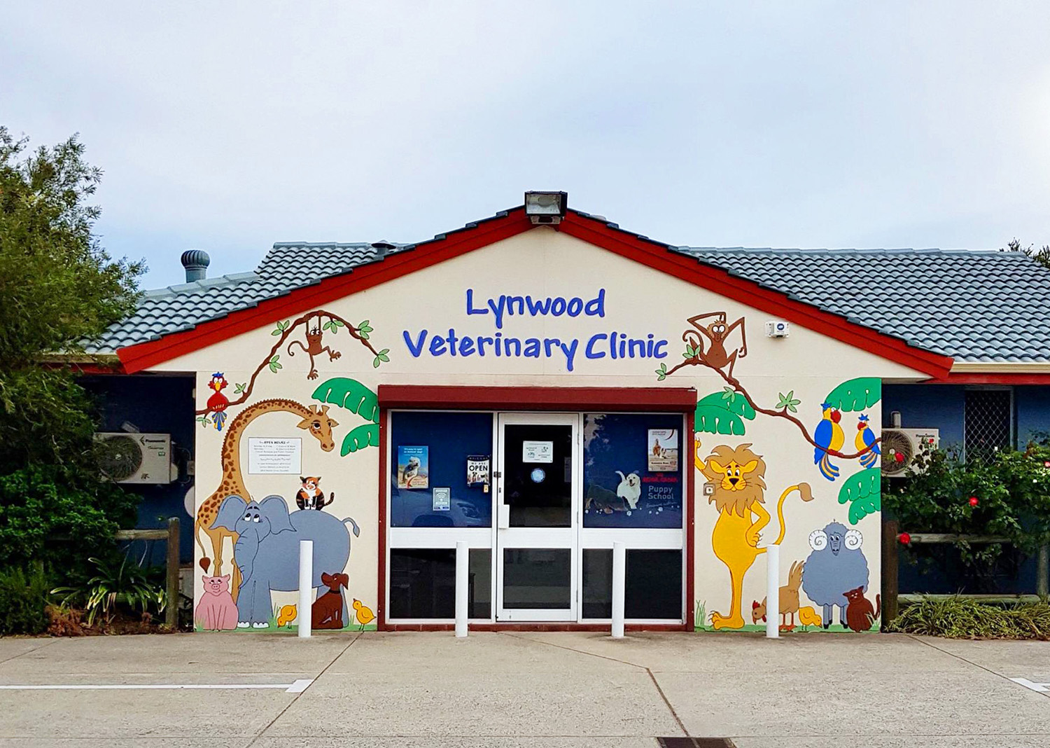 Veterinary clinic hot sale